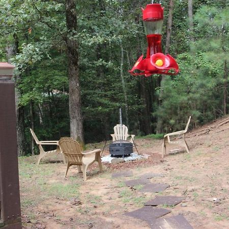 Vila Laughing Bear Cabin Ellijay Exteriér fotografie