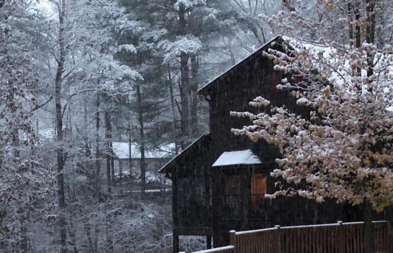 Vila Laughing Bear Cabin Ellijay Exteriér fotografie